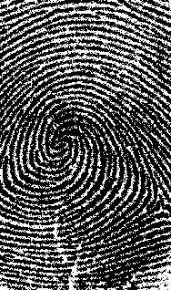 fingerprinthome